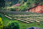 BURUNDI_DAY_1-25_580ec846-73b3-4aa1-922b-7ecd5f2f8bb1