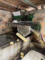 IMG_0056