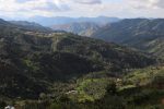 IMG_1963