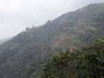 P9050401