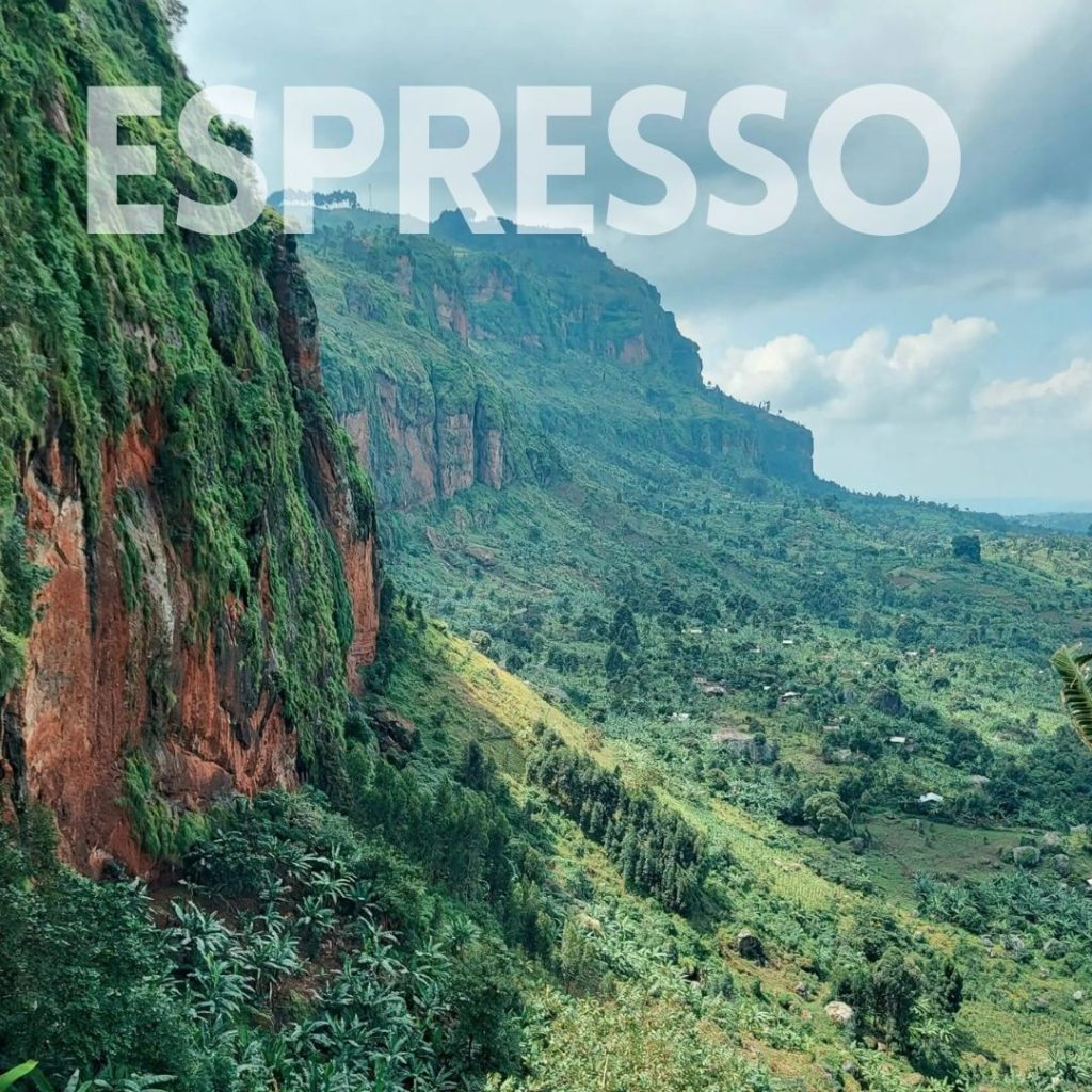 coffee farm